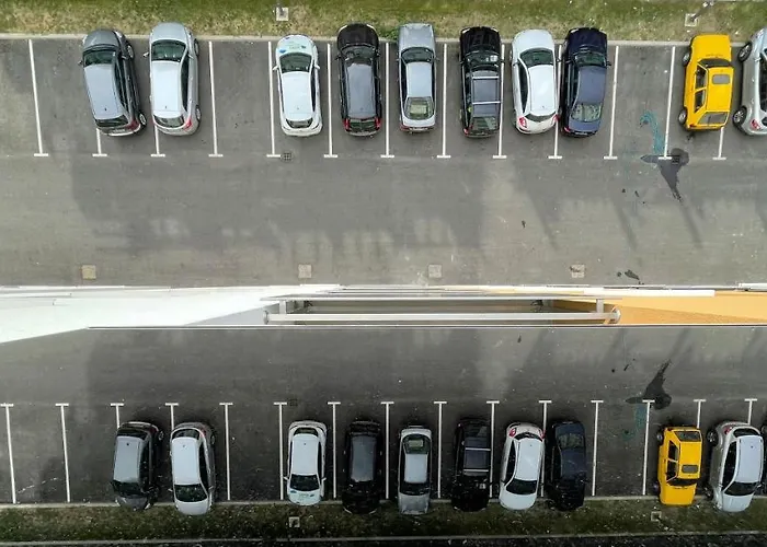 Διαμέρισμα Orhidea *